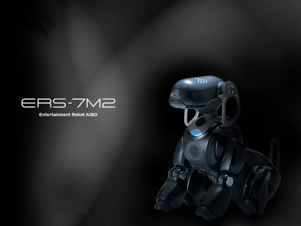 Robot entertainment