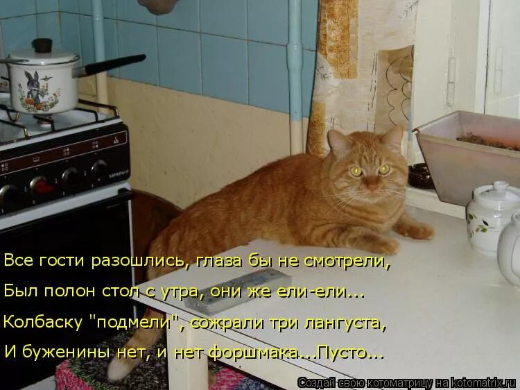 Не жди голодные. Кот на кухне. Кот ждет на кухне. Кот и хозяин. Кот пришел в гости.