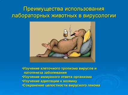 Применять достоинство