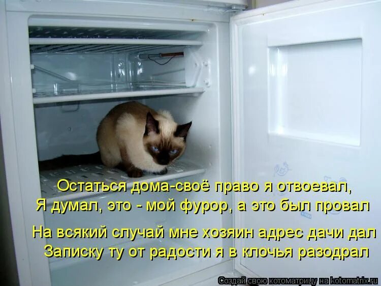 Пора пора мне быть умней