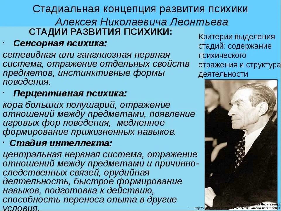 Этап психологии поведение. Леонтьев этапы эволюции психики. Этапы развития психики по а.н Леонтьеву - Фабри. Этапы психического развития в психологии. Стадии развития психики в психологии.