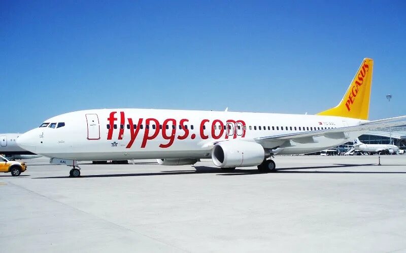 Pegasus airlines зарегистрироваться. Самолет пегасус в турции. pegasus plane.