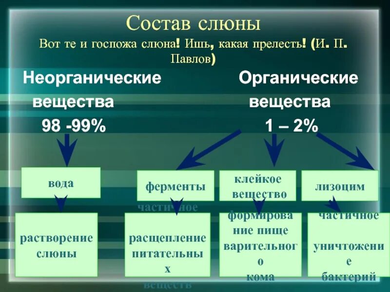 Минеральная слюна. Состав слюны. Состав и функции слюны. Функции компонентов слюны. Компоненты слюны человека.