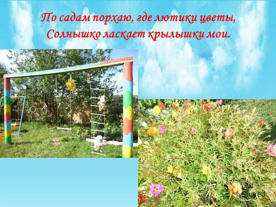 стихи о детских занятиях. участок детского сада стихи. озеленение участка детского сада презентация. презентация территории доу. участок детского сада стихи.