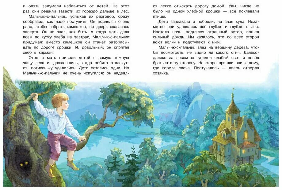 Мальчик с пальчик. Отзыв мальчик с пальчик. Мальчик-с-пальчик сказка сколько страниц. План мальчик с пальчик. Пересказ мальчик спальяик.