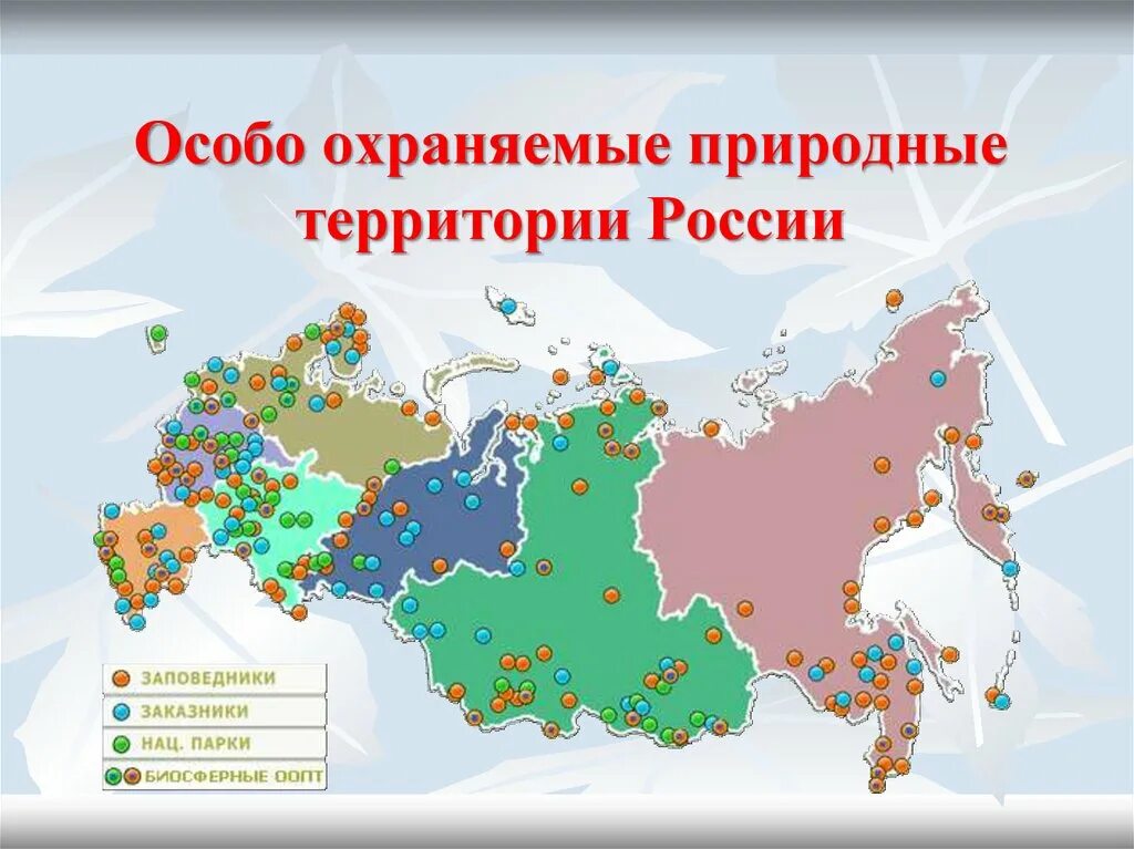 Доклад на тему особо охраняемые территории россии. Особо охраняемые природные территории России. ООПТ России. Особые охраняемые природные территории России. Особо охраняемые природные территории (ООПТ).