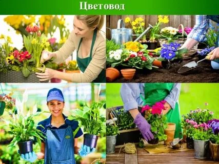 Профессия цветовод