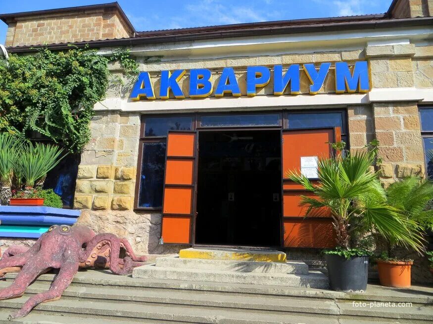 Аквариум & морской зоопарк, сочи. Аквариум & морской зоопарк, сочи. Океанариум мацеста. Океанариум дискавери адлер. Океанариум мацеста.