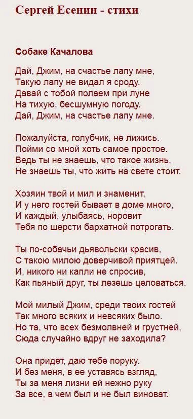 Стихотворение собаке качалова есенин. Собаке качалова есенин. Дай джим на счастье лапу мне стих есенин. Стихотворение собаке качалова. Собаке качалова (дай, джим, на счастье лапу мне).