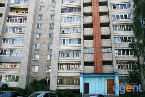 Доронина 2