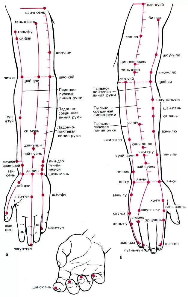 Какие точки массировать на руке. Акупунктура схема точек. Точки акупунктуры на запястье. Акупунктурные точки ладони схема. Меридианы на ладони человека схема.
