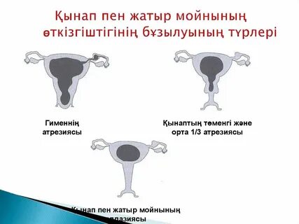 Порно жігіт ақша үшін жігітті сорып алды.