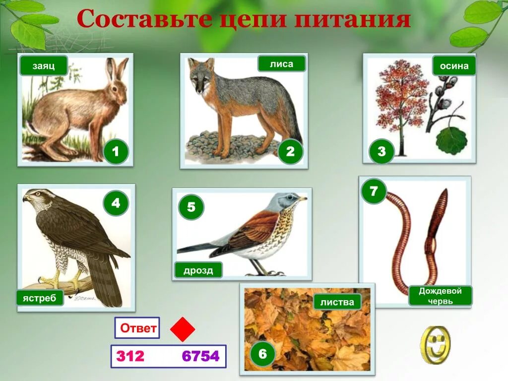 Составьте 10 цепей питания. Пищевая цепочка. Составление цепей питания. Цепи питания биология. Придумать Цепочки питания.