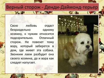 Верные сторожа