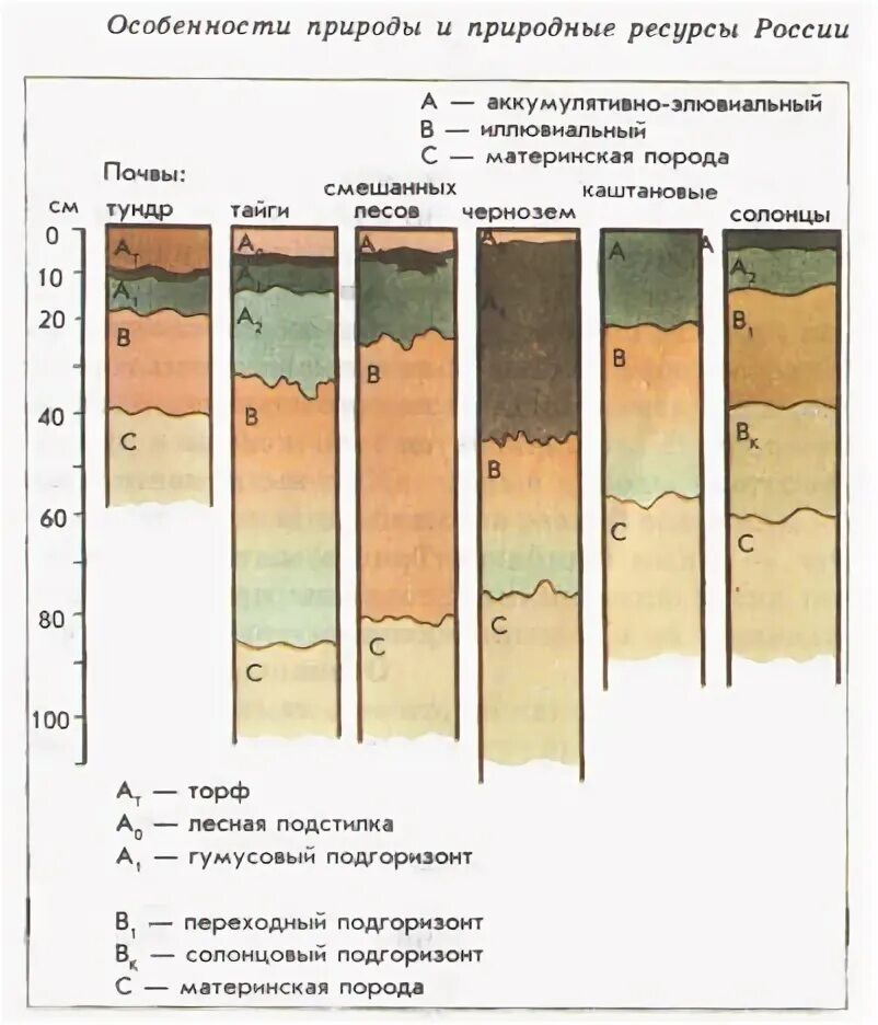 Структура почвы почвенные горизонты. Схема особенности почв России. Тундровые почвы подзолистые почвы таблица. Общая схема строения почвенного профиля. Каштановые климат