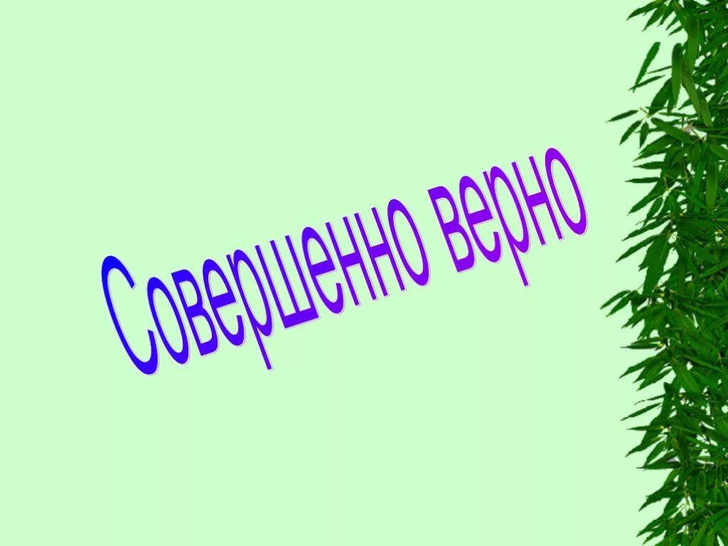 Картинки с надписями правильно. Картинка верно. Совершенно верно надпись. Совершенно верно картинки. Все верно картинки.