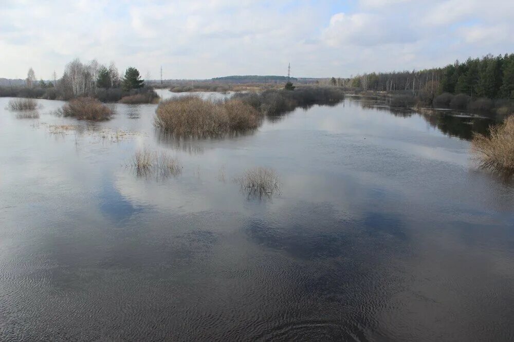 Прогноз половодья в рязани в 2025 года