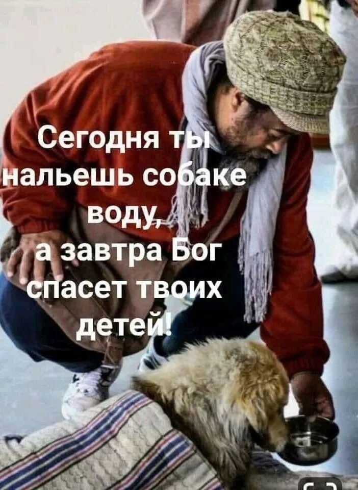 Ты думал что тебя спасет твой. Сегодня ты нальешь собаке воду а завтра Бог спасет твоих детей. Когда делаешь людям добро то добрые люди это ценят равнодушные. Сегодня ты нальешь собаке воду. Бог спасет.