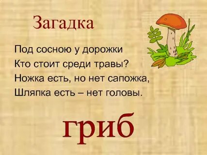 3 загадки про грибы