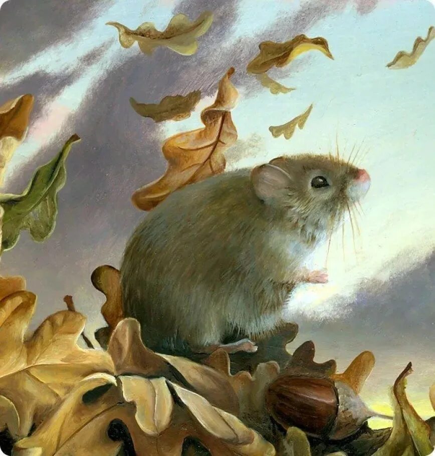 Мир мышей. Иллюстратор Jean Bradbury. Художница-иллюстратор Jean Bradbury. Мыши в живописи. Мыши в картинах художников.