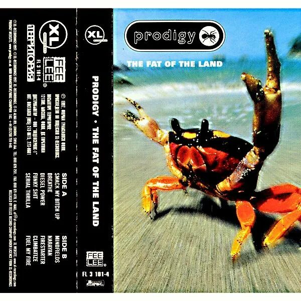 The prodigy – the fat of the land (25th anniversary silver vinyl) vinyl. Prodigy the fat of the land. Prodigy the fat of the land обложка. Prodigy fat of the land альбом. The prodigy the fat of the land 1997 обложка.