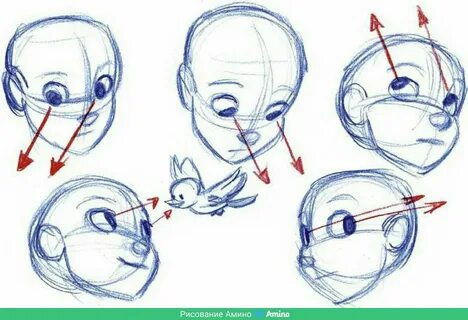 Рисовка головы