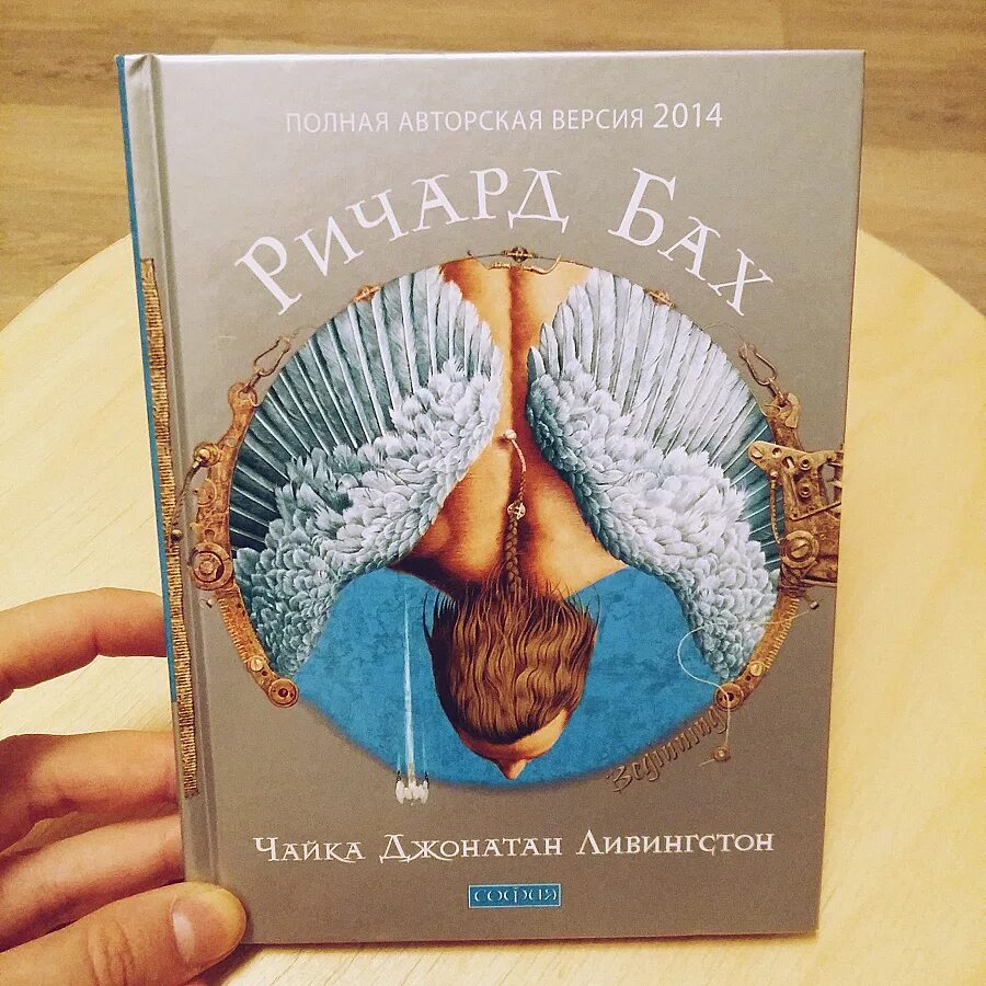 Повесть баха чайка по имени. Чайка джонатан ливингстон книга. ричарда баха «чайка по имени джонатан ливингстон&quot;. книга ричарда баха чайка по имени джонатан ливингстон. джонатан ливингстон фильм.