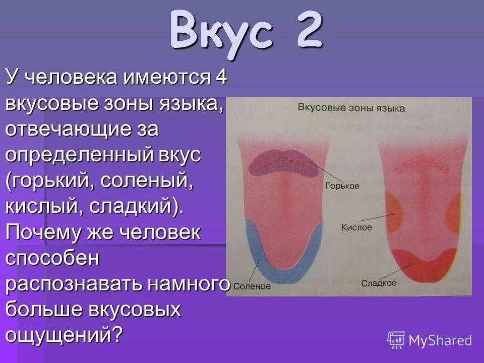 Вкусовые зоны языка. Соленый привкус во рту. Соленая слюна во рту