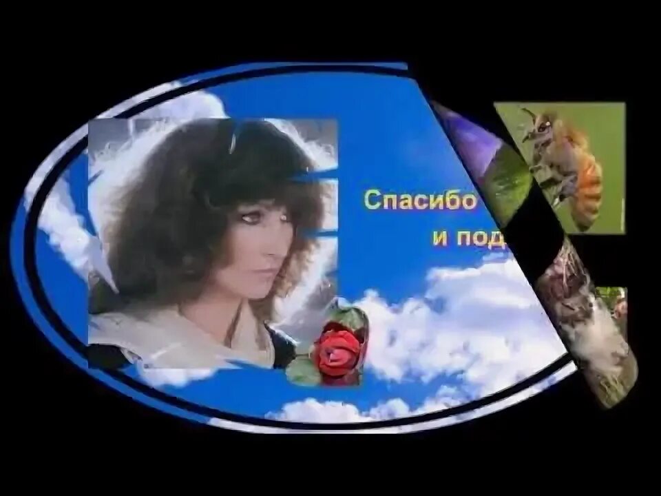 Ингрид Вэйл / Проза.ру