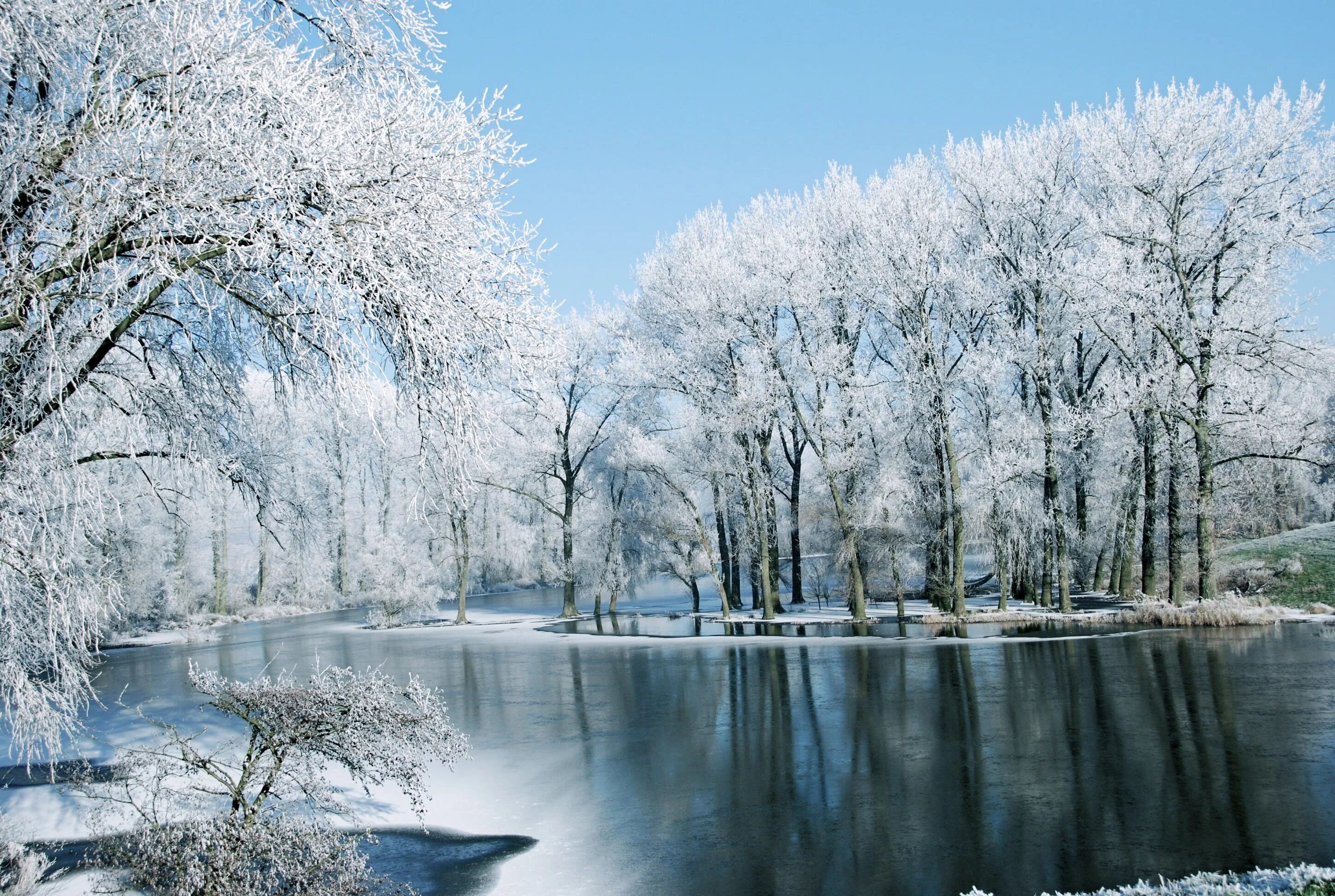 Зима. Природа зима. Красота зимы. Зимние картинки.