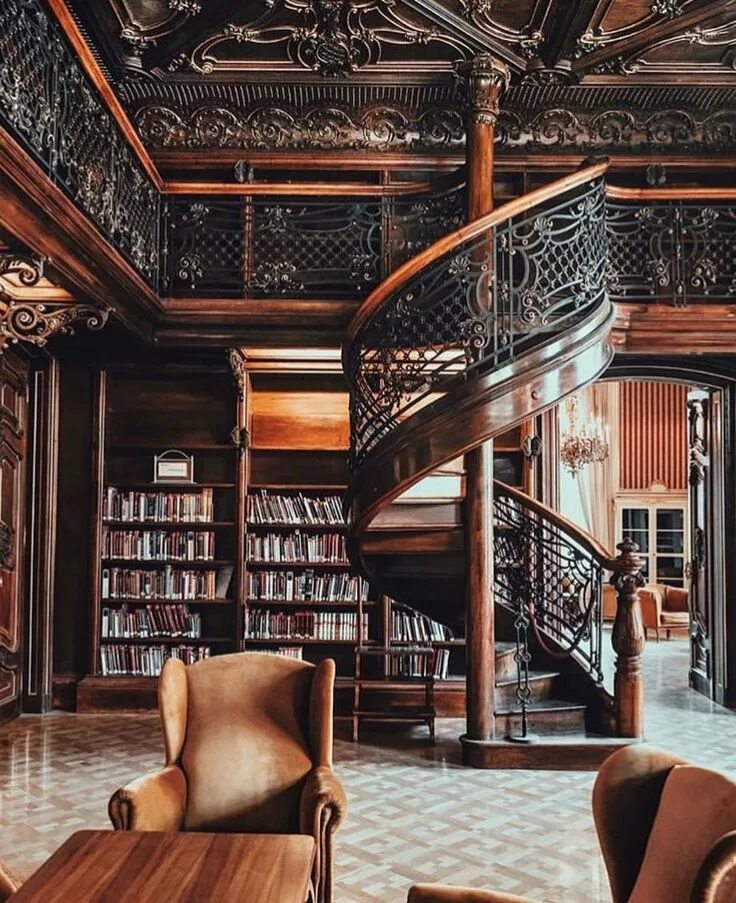 Look library. Библиотека в особняке. Красивая библиотека в доме. Старая библиотека. Огромная библиотека в особняке.