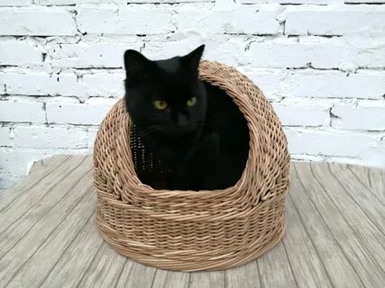 Кошки из лозы
