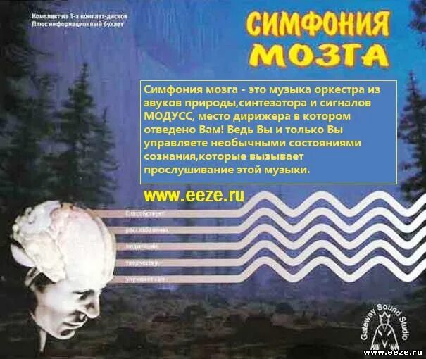 Музыка головного мозга. Симфония мозга. Симфония мозга 3 CD. Симфония мозга 1 CD. Звуки природы для мозга.