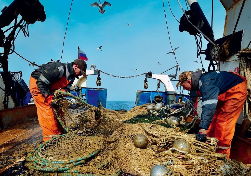 Добыча судов. Добыча рыбы. промысел рыбы. морское рыболовство. рыболовная промышленность.