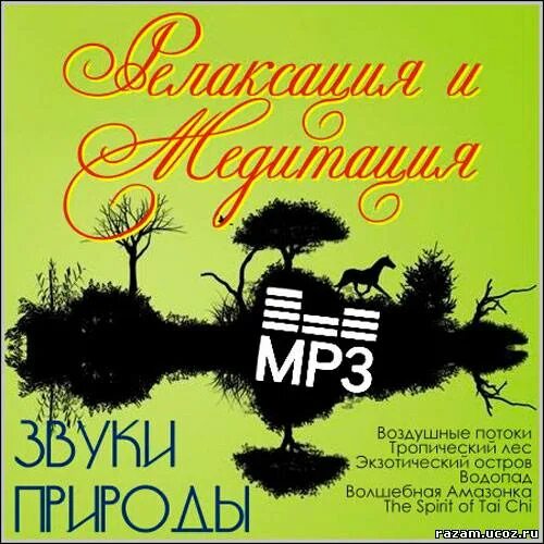 Звуки природы. Звуки природы для медитации. Звуки природы альбом. Звуки природы диск. Звуки природы для релаксации детей