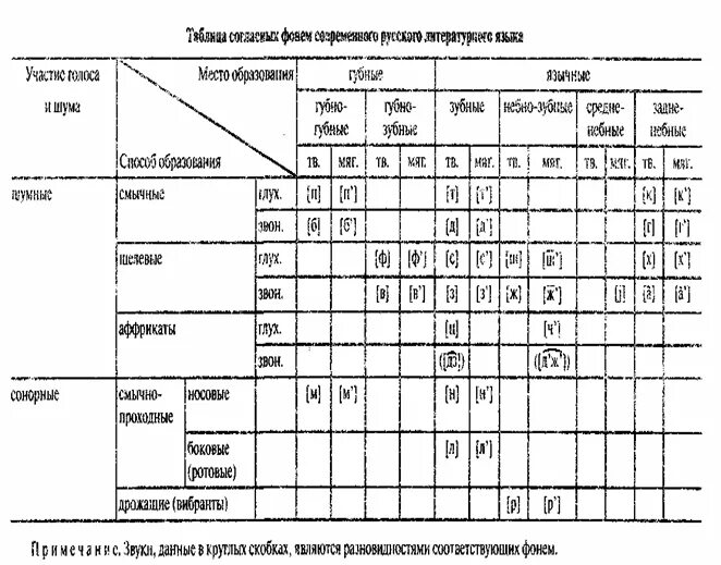 Система гласных фонем таблица. Система согласных фонем в английском языке таблица. Система гласных фонем английского языка таблица. Система фонем русского языка. Глухие щелевые согласные