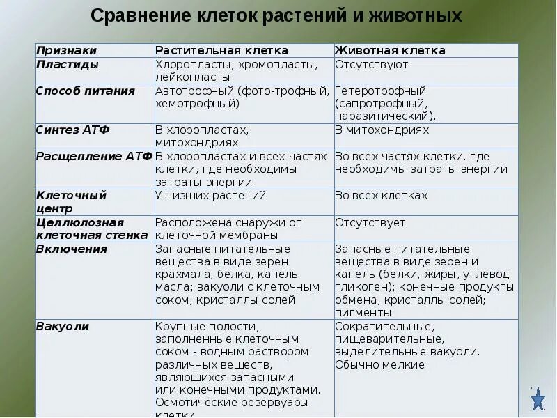 Какова функция органоидов. Строение и функции клетки таблица 10 класс биология. Функции органоидов животной клетки таблица. Функции частей клетки. Строение и функции животной клетки таблица.