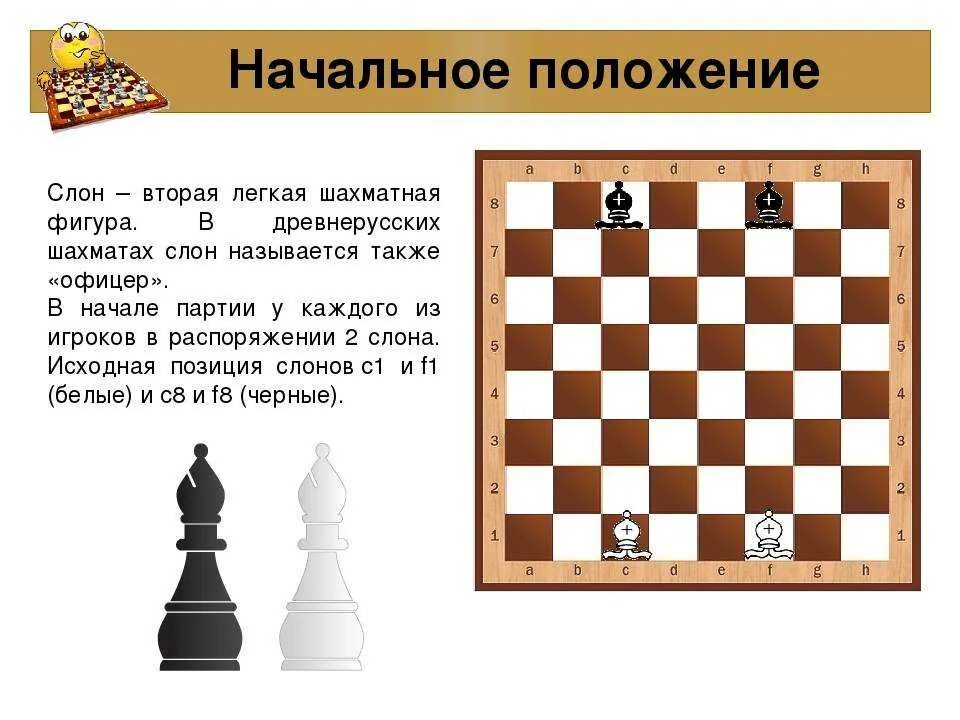 Ладья сканворд 5. Фигуры в шахматах. Название шахматных фигур. Слон шахматная фигура. Ходы в шахматах.