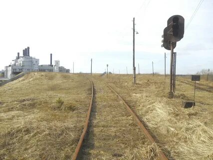 Светофор кировск