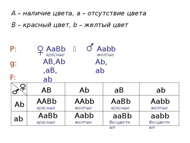 Дигомозигота aabb aabb aabb aabb. Аа аа биология. Генотип aabb генотип aabb. Возвращение домой (1999) aa ab laut chalen. Таблица аа аа 1а.