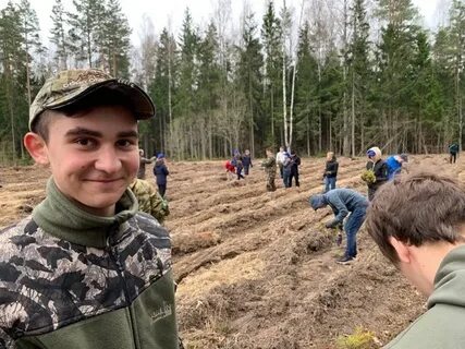 Специальность лесное