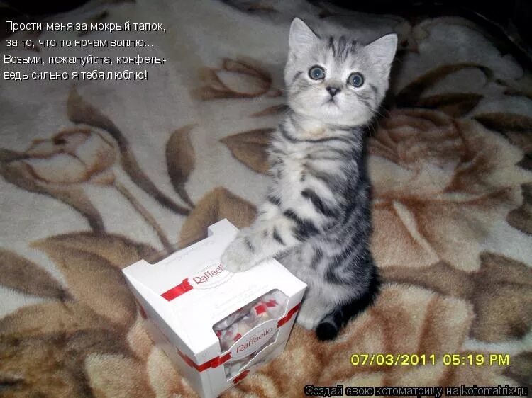 Мамочка прости меня пожалуйста. Покажи покажи мне. Извините пожалуйста. Пожалуйста. Ну пожалуйста.