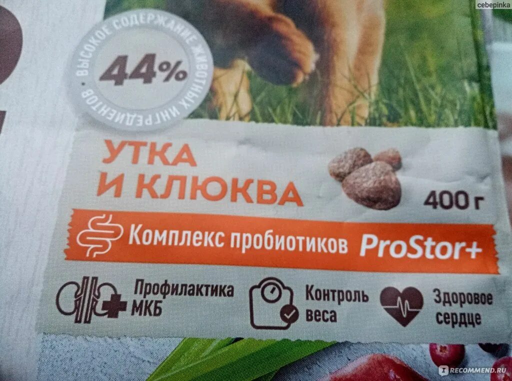 Сириус утка. Корм сириус для кошек утка клюква. сириус корм утка клюква. сириус корм для кошек с клюквой. корм для кошек утка с клюквой.