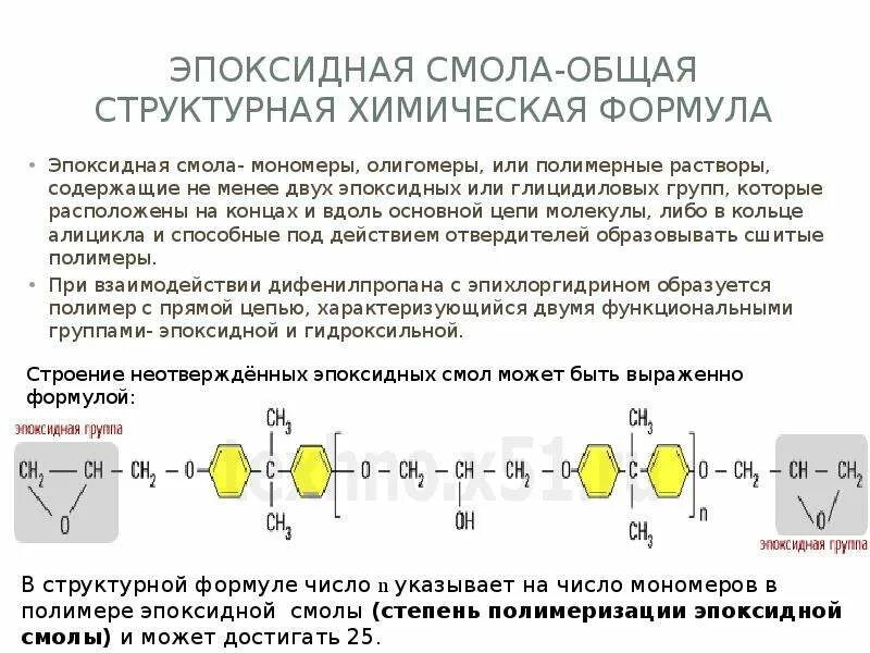 Участвует в расщеплении полимеров до мономеров