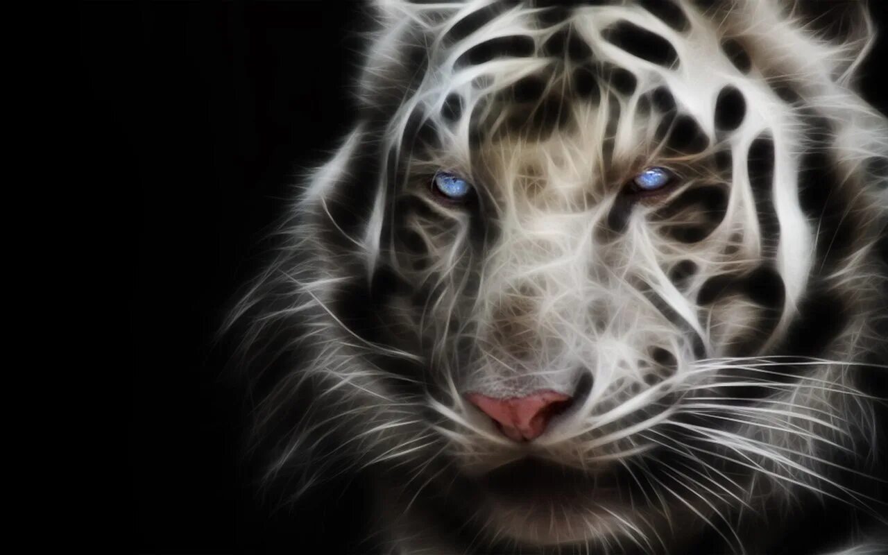 Тигр с голубыми глазами. Белый тигр с голубыми глазами. Тигр с синими глазами. Тигрица с голубыми глазами.
