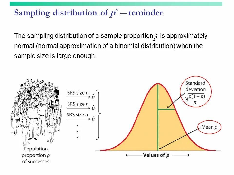 Sampling meaning. Sampling distribution. Sample proportion. Normal approximation. A proportion of употребление.