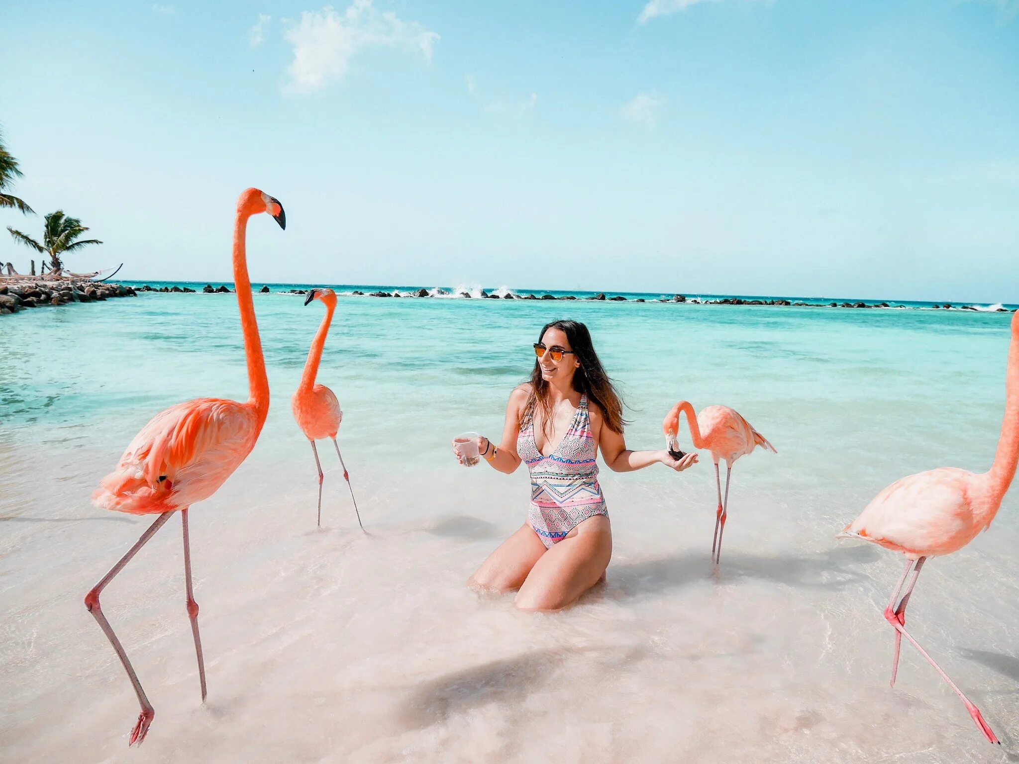 Коко девушка. Кайо гильермо фламинго. кайо-коко куба. куба cayo coco фламинго. куба остров кайо коко.