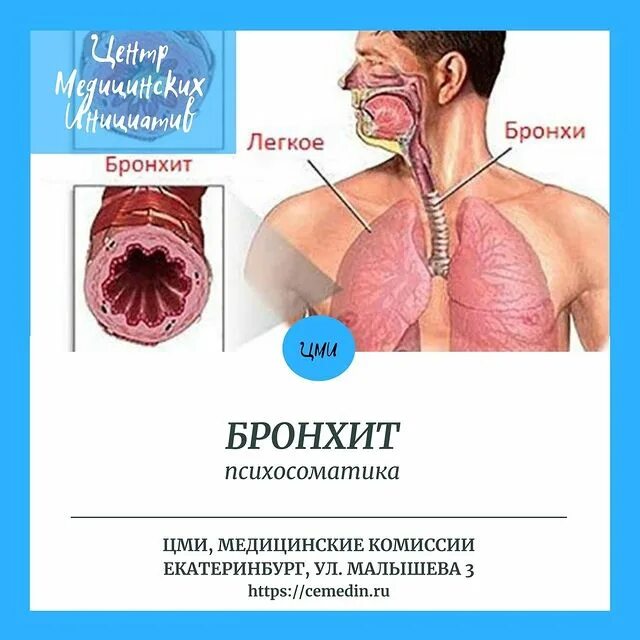 Ureum breath test. специалист по легким и бронхам. специалист по легким и бронхам. пульмонолог это врач который лечит. носовая полость гортань трахея.