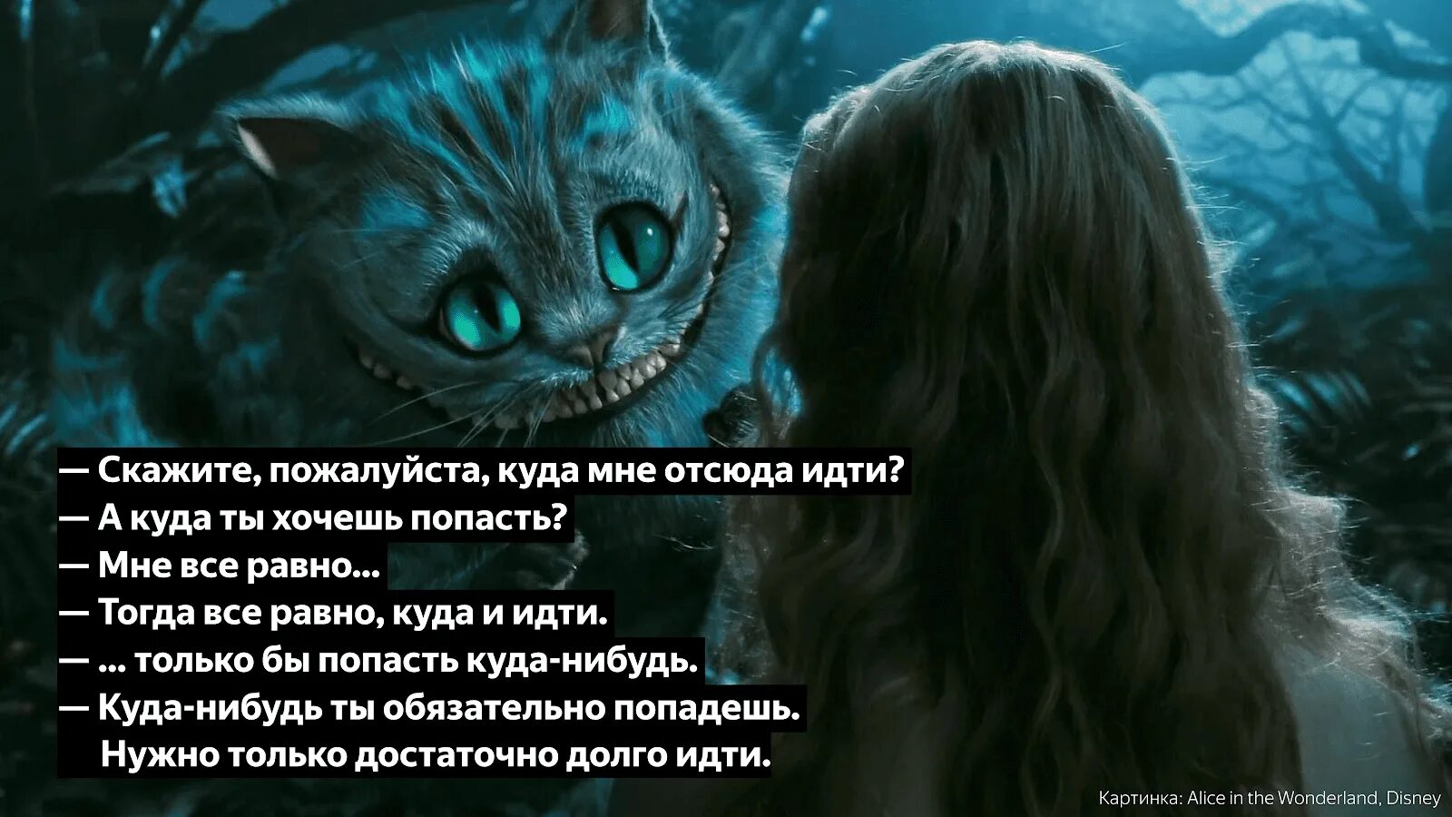 Иди отсюда сказал. Чеширский кот Алиса в стране чудес. Чеширский кот из Алисы в Зазеркалье. Высказывания Чеширского кота из Алисы в стране. Чеширский кот из сказки Алиса в стране чудес.