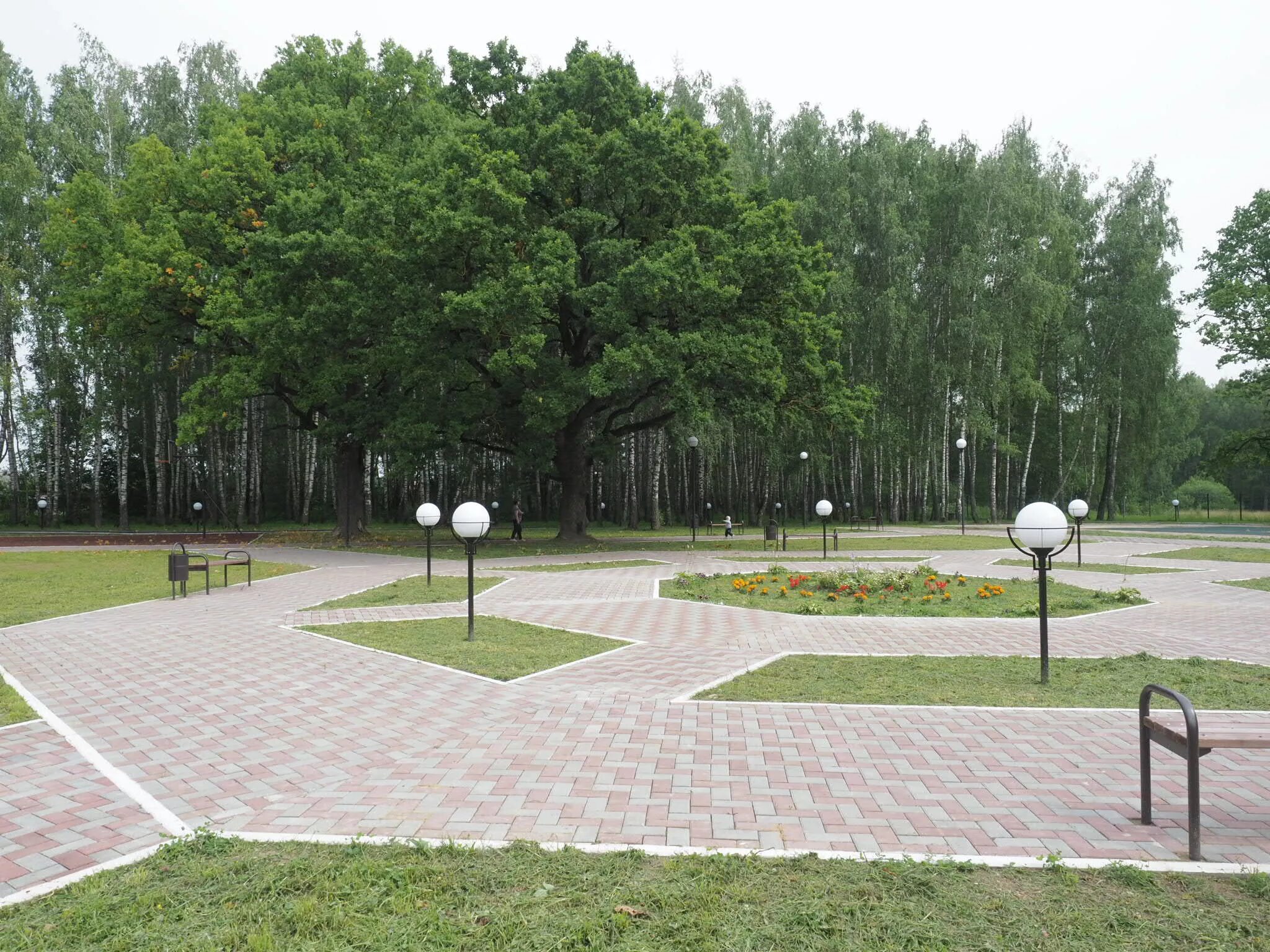 Поселок дубки парк. Кп дубки чебоксары. Парк дубки тимирязевская. Поселок легенда батайск. Дубки парк батайск.